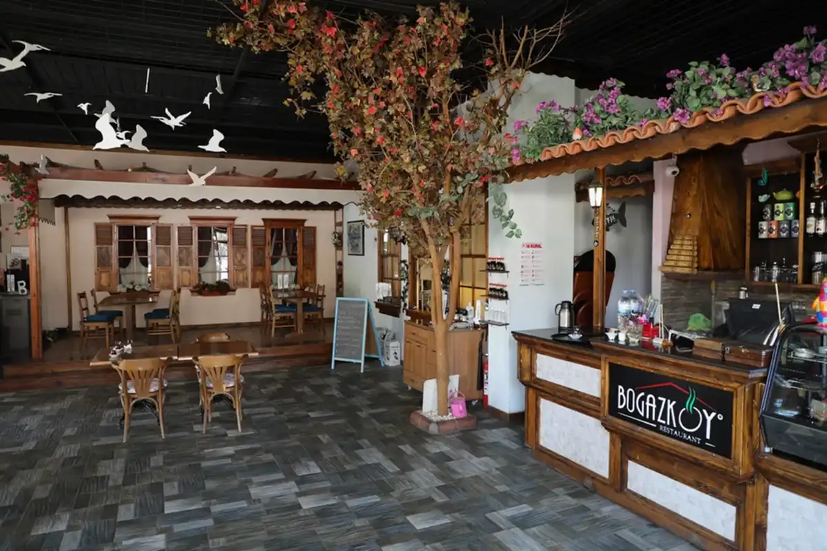 Restoran iç mekan, ağaç ve bougainvillea